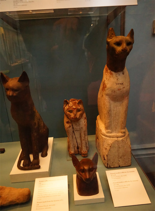 고대 이집트에서 고양이 미라를 담던 관이 영국 런던 대영박물관에 전시돼 있다. 강인욱 교수 제공