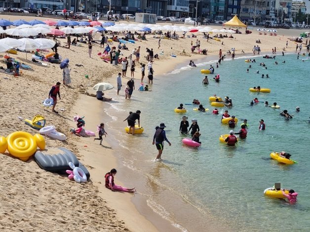 무더위가 기승을 부리고 있는 5일 커피거리로 유명한 강릉 안목해변을 찾은 피서객들이 물놀이를 하며 더위를 식히고 있다. 2022.8.5/뉴스1
