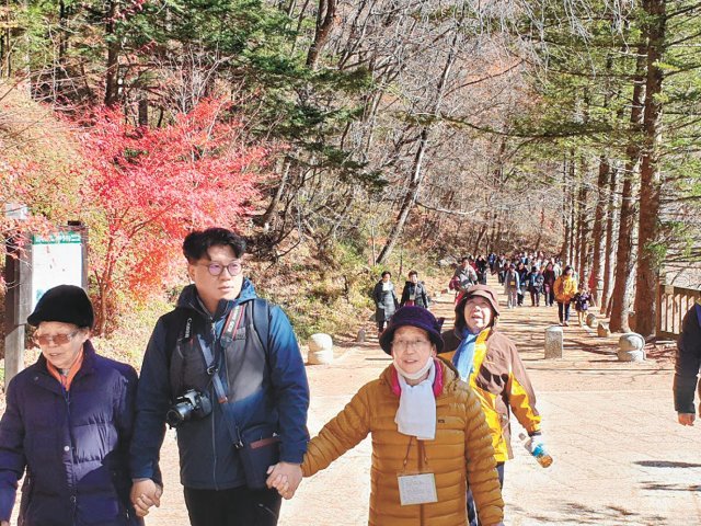 소외된 노인들의 사회활동을 돕고 그들을 돌볼 수 있는 인력을 양성하는 프로그램의 대표 활동 ‘효도 트레인’.