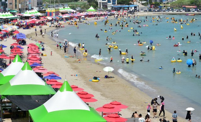경북 포항시 구룡포 해수욕장을 찾은 피서객들이 물놀이를 하며 즐거운 시간을 보내고 있다. 2022.08.07. 뉴시스