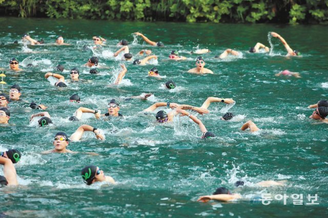 참가자들이 수질이 개선된 석촌호수에서 수영을 하고 있다. 김재명 기자 base@donga.com