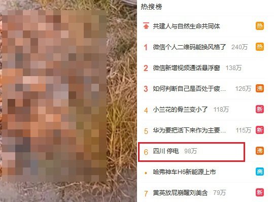 정전으로 폐사한 닭(왼쪽)·웨이보 실시간 검색어에 오른 쓰촨 정전.