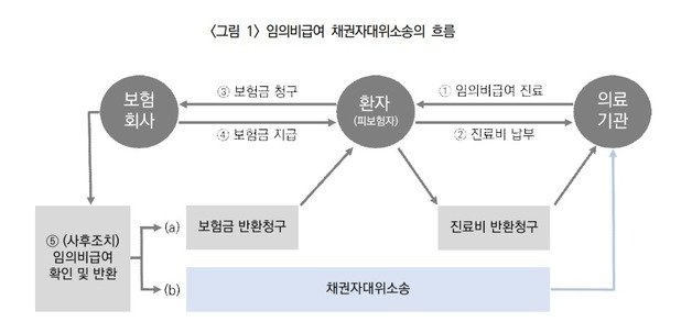 임의비급여 채권자대위소송의 흐름(보험연구원 보고서 발췌)