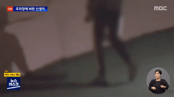 MBC 보도화면 갈무리