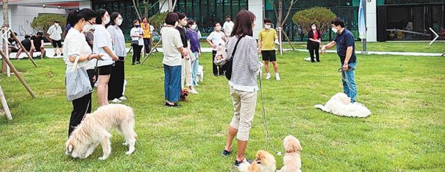 대전반려동물공원은 이달부터 11월 말까지 반려동물에 대한 이해를 돕기 위한 무료 교육 프로그램을 운영한다. 사진은 올 4월 개장한 대전 유성구 금고동 대전반려동물공원을 찾은 시민들. 대전시 제공