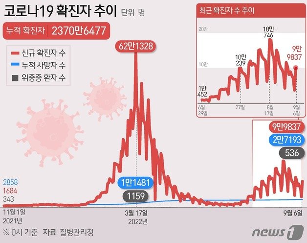 6일 기준 확진자 발생 추이./뉴스1