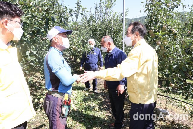 이성희 농협중앙회장이 7일 경북 봉화군 소재 과수농가를 방문해 제11호 태풍 힌남노의 영향으로 사과 낙과 피해를 입은 농업인을 위로하고 현장상황을 점검했다. 농협 제공