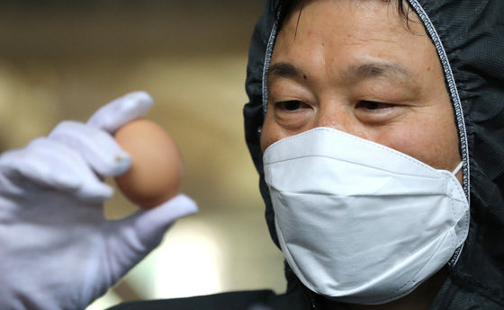 양계장에서 달걀을 검사하고 있는 국립농산물품질관리원 직원(특정 기사내용과 무관한 자료사진) ⓒ News1