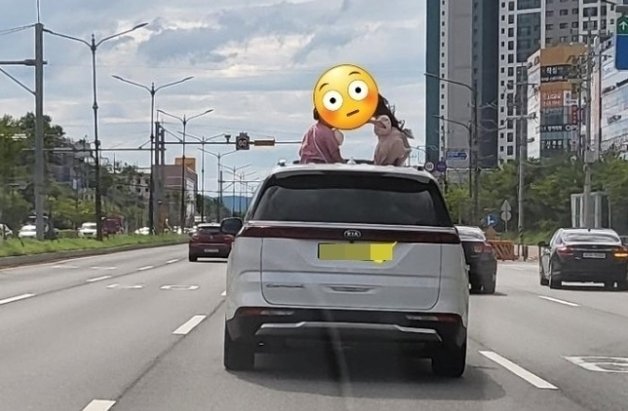 지난 8월 천안에서도 이 같은 모습이 포착됐다.