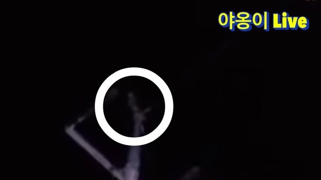 수리부엉이가 고양이를 위협한다고 판단한 유튜버가 짱돌로 수리부엉이를 쫓아냈다고 밝혔다. (유튜브 갈무리)