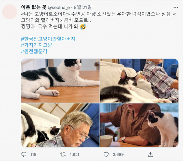 다혜씨가 지난달 21일 트위터에 올린 문재인 전 대통령과 반려묘 ‘찡찡이’ 사진. (문다혜씨 트위터 캡처)2022.9.14/뉴스1