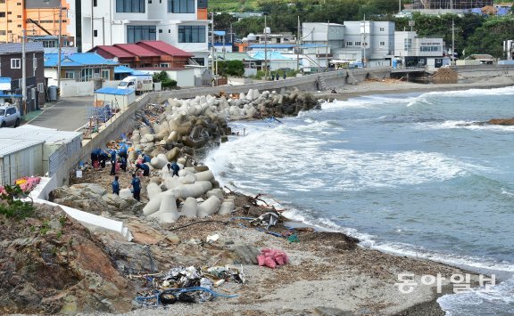 13일 오후 포항시 남구 구룡포읍 병포리 해안가에서 대전경찰청 제3기동대 직원들이 태풍에 떠밀려온 쓰레기들을 줍고 있다. 포항=뉴시스