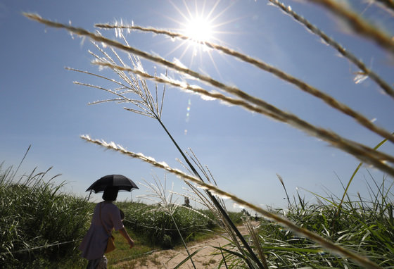 날씨 자료사진. /뉴스1