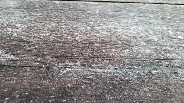 설악산 국립공원사무소 제공