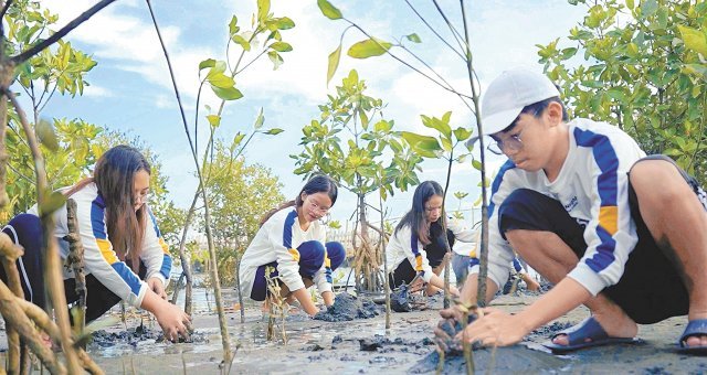 조쉬다니엘(18)군을 비롯한 필리핀 청소년들이 마을에 맹그로브 나무를 심는 활동을 하고 있다.