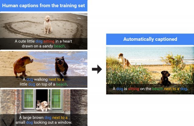 사람이 작성한 주석을 바탕으로 학습해 결과물을 도출하는 구글의 인공지능 학습 과정, 출처: 구글 텐서플로