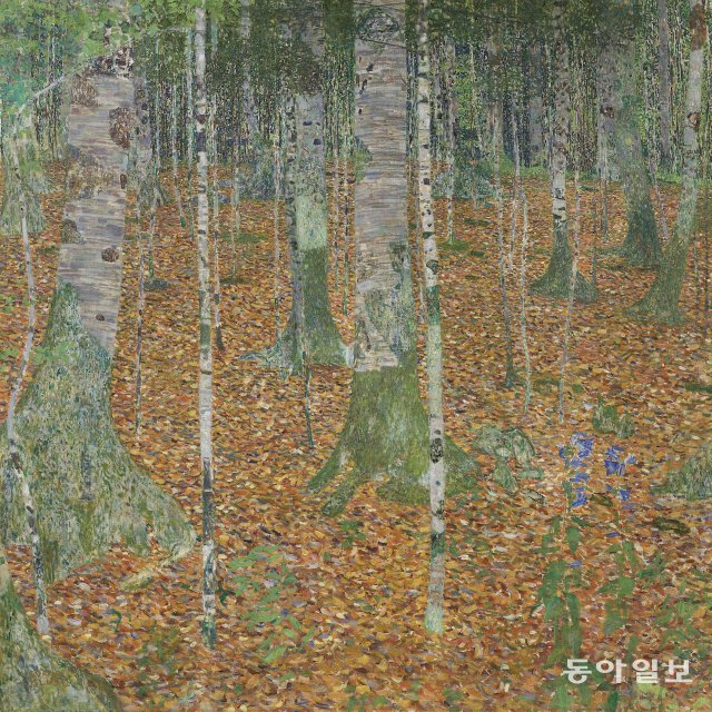 구스타프 클림트, 자작나무 숲, 1903년, 110.1 x 109.8cm. 사진: 크리스티