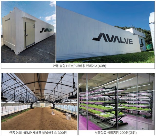 경상북도 안동에 설치한 산업용 재배용 컨테이너와 비닐 하우스, 출처: 어밸브