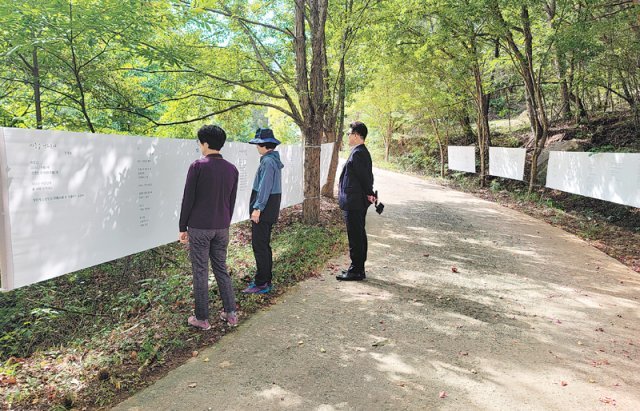 충북 영동 천년고찰 영국사를 대표하는 천태산 은행나무 주변에서 걸개 시화전이 열리고 있다. 양문규 시인 제공