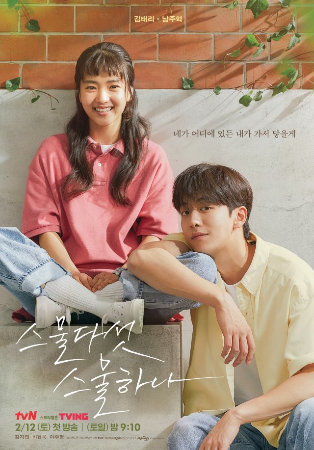 tvN 드라마 ‘스물다섯 스물하나’ 포스터. tvN 제공