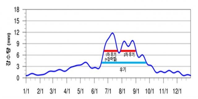 1991~2020년 강우를 분석한 결과 여름철 두 번의 우기가 나타났다. 기상청 제공.