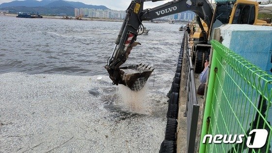 경남 창원시 마산합포구 마산만에서 포크레인이 폐사한 정어리 떼를 수거하고 있다.2022.10.18 창원시청 제공