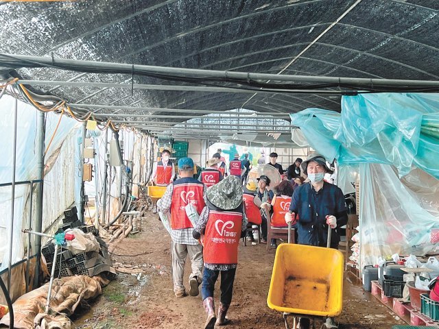 올해 9월 자원봉사자들이 울산에서 발생한 수해 현장에서 복구에 힘을 보태고 있는 모습. 한국중앙자원봉사센터 제공