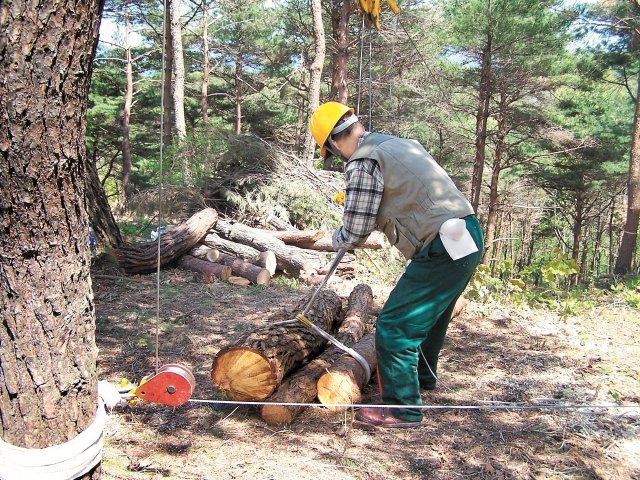 산립작업현장
