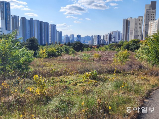 2021년 미군이 국방부로 반환한 뒤 일반인 출입이 금지돼 관리가 안돼 수풀이 우거진 옛성남골프장. 성남=전영한 기자 scoopjyh@donga.com