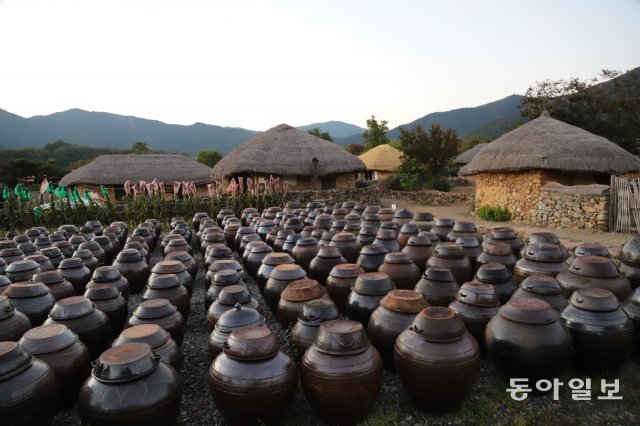 낙안읍성 마을 초가집의 장독대 항아리.