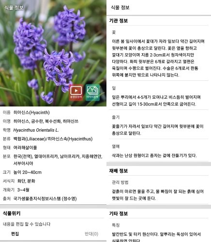 왓캠이 제시한 식물 정보. 출처=에이아이프로