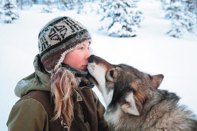 핀란드 통나무집에서 썰매 개들과 지내는 티냐는 “자연이 살아가는 데 필요한 모든 것을 준다”고 말했다. 복복서가 제공