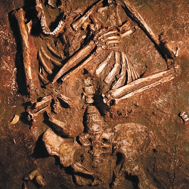 1983년 이스라엘 케바라 동굴에서 발견된 네안데르탈인 화석. 페보 박사는 이런 뼈의 성분을 분석해 네안데르탈인의 DNA가 현대인에게 전승됐다는 것을 밝혀냈다. 유튜브 캡처