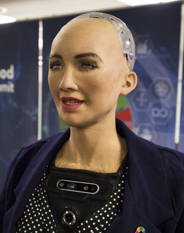 ‘불쾌한 골짜기’의 사례로 자주 언급되는 휴머노이드 로봇 소피아. 인간과 비슷하지만 어딘가 어색해보이는 이목구비와 표정, 뒷통수의 전자회로들이 섬뜻하게 느껴진다. 핸슨 로보틱스 제공