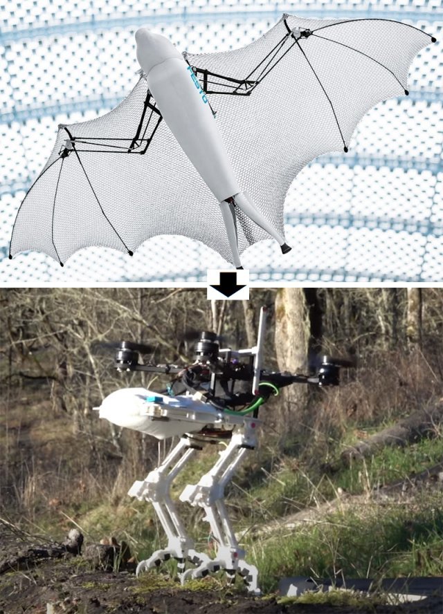 영화 ‘트랜스포머’를 방불케 하는 형상 변형 드론의 세계는 무궁무진하다. 새처럼 날개를 퍼덕이며 나는 독일 페스토사의 드론(위 
사진). 미국 스탠퍼드대가 개발한 조류형 로봇은 비행하다가 다리를 펴 나뭇가지나 구조물에 착지해 감시·정찰을 할 수도 있다. 사진 출처 유튜브
