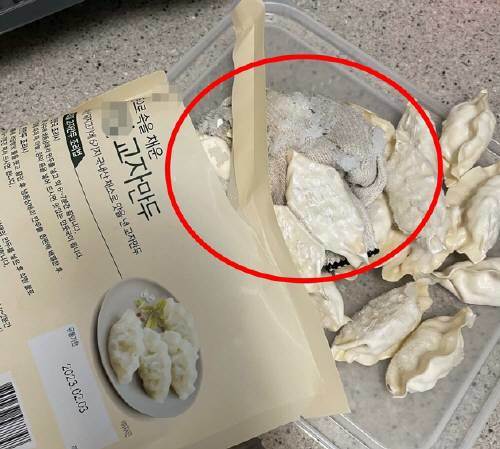 유기농 식품 유통사인 초록마을의 만두 제품에서 목장갑이 나왔다는 민원을 제기한 고객이 온라인 커뮤니티에 게시한 사진