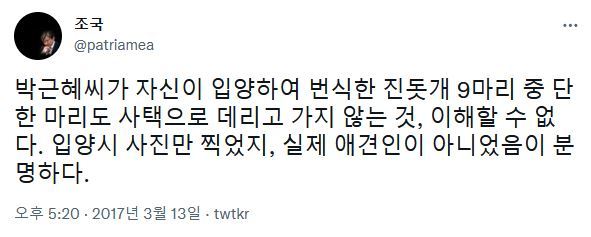 진돗개 안 데려간 박근혜, 애견인 아냐”…5년전 조국 트윗 재조명｜동아일보