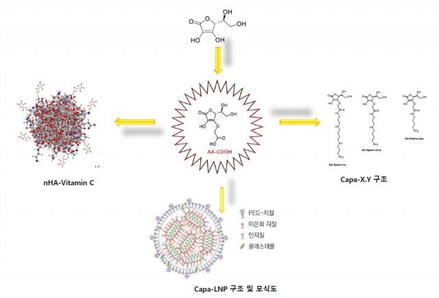 카파바이오사이언스의 주요 사업 부문 소개. 출처 = 카파바이오사이언스
