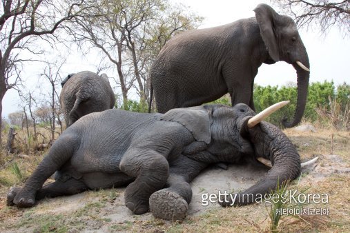 기사와 직접적인 관련없는 이미지. 사진제공=게티이미지코리아