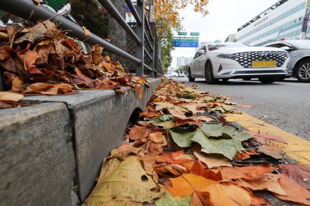 낙엽에 배수로 막혀… 서울 곳곳 또 침수 피해