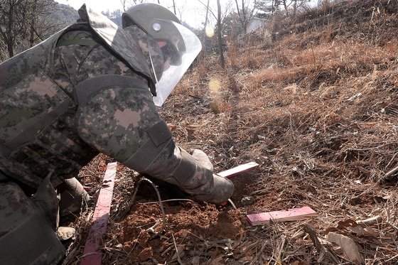 M14 대인지뢰 제거 실습.육군 제공 2021.2.5