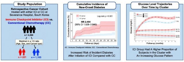전통적인 세포독성 항암제 사용 그룹과 비교해 면역항암제 사용 그룹에서 새롭게 당뇨병이 발병할 위험이 2.45배 높은 것으로 나타났다(가운데 그림). 약물 사용 후, 시간의 추이에 따라 혈당이 상승한 환자군의 비율 역시 면역항암제 사용 그룹에서 10.4%로 전통 항암제 사용 그룹 7.4%보다 높았다(오른쪽 그림)