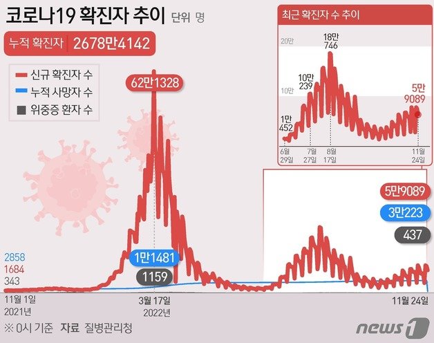 코로나19 확진자 추이 ⓒ News1