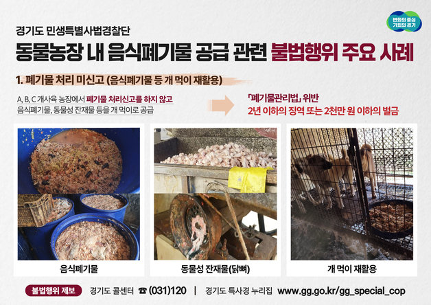 경기도 특별사법경찰단은 지난달 7일부터 18일까지 경기 북부 음식폐기물 공급 동물농장, 닭 식육 포장처리업체 65개소를 집중 단속한 결과, 폐기물관리법 등을 위반한 14개소의 불법행위 19건을 적발했다고 5일 밝혔다.(경기도 제공)