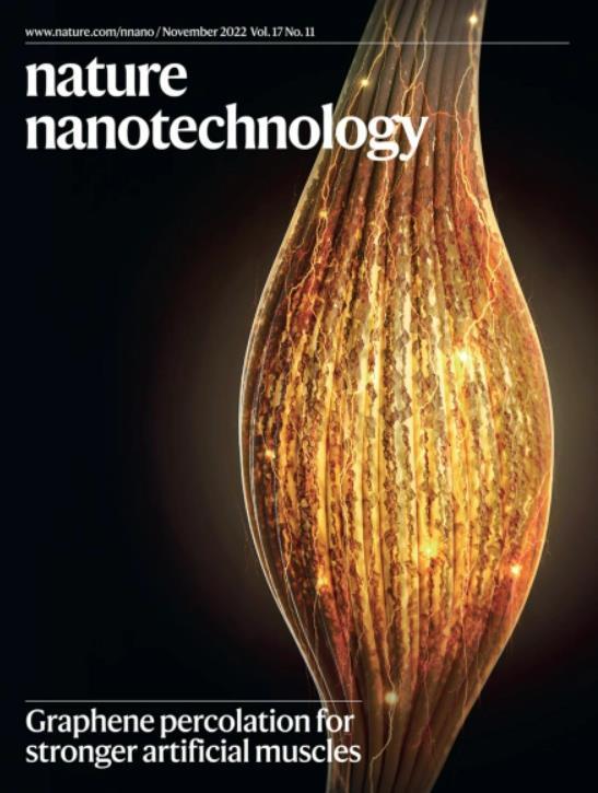 인간 근육보다 17배 강한 인공 근육 개발에 성공한 국내 연구진의 성과가 영국의 과학 학술지 ‘네이처 나노테크놀로지(Nature Nanotechnology)’ 11월호 표지 논문으로 선정됐다. KAIST 제공
