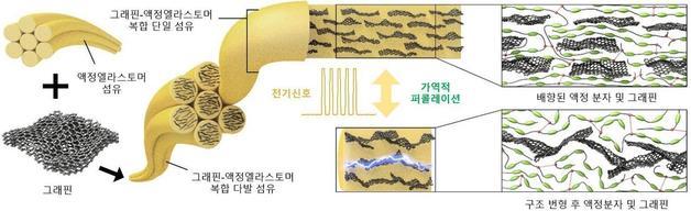 인공 근육 섬유 제작의 개략도 및 내부 수축·이완 시 구조 도식. KAIST 제공