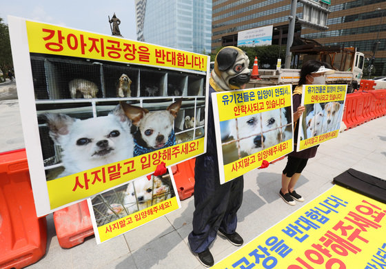 한국동물보호연합이 서울 종로구 광화문광장에서 강아지 공장 반대 퍼포먼스를 진행하고 있다. 2022.8.4/뉴스1