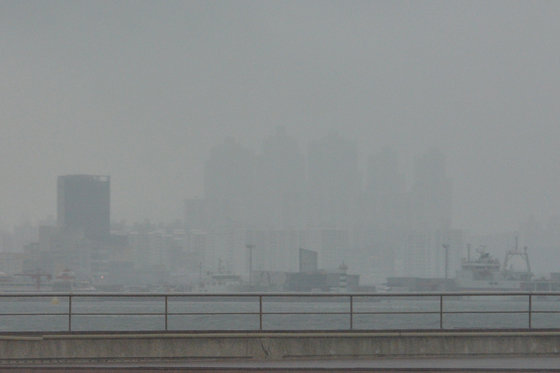 23일 오전 경북 포항시 송도동에서 바로 본 북구 지역에 있는 고층 아파트들이 짙은 안개에 덮여 있다. 2023.11.23/뉴스1 ⓒ News1