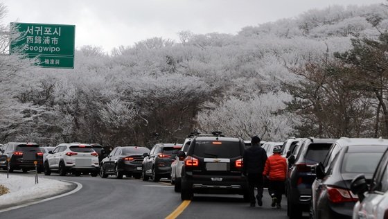 19일 오전 한라산국립공원 1100고지 휴게소 주차장에 설경을 즐기려는 탐방객들 차량으로 북적이고 있다. 뉴스1 (사진은 기사 내용과 무관함)