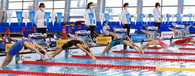 18일 경북 김천 실내수영장에서 열린 제94회 동아수영대회 여자 초등부 100m 배영 예선 경기에서 선수들이 힘차게 출발하고 
있다. 이날로 3일째를 맞는 이번 대회에서는 총 19개의 대회 신기록이 쏟아졌다. 김천=전영한 기자 
scoopjyh@donga.com